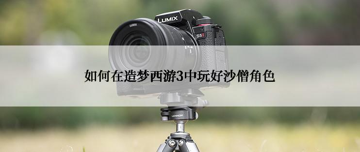 如何在造梦西游3中玩好沙僧角色