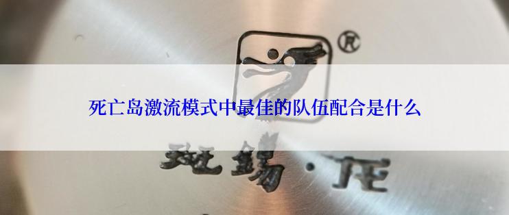 死亡岛激流模式中最佳的队伍配合是什么