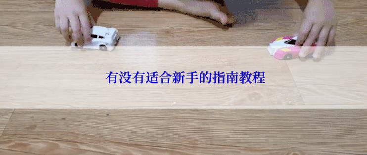  有没有适合新手的指南教程