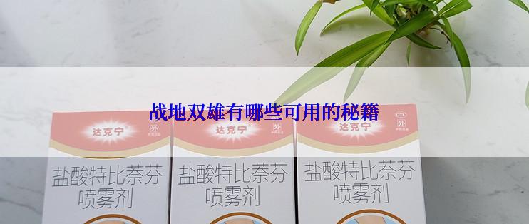 战地双雄有哪些可用的秘籍