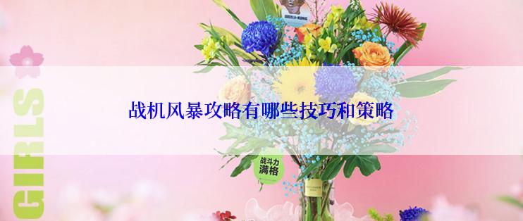 战机风暴攻略有哪些技巧和策略