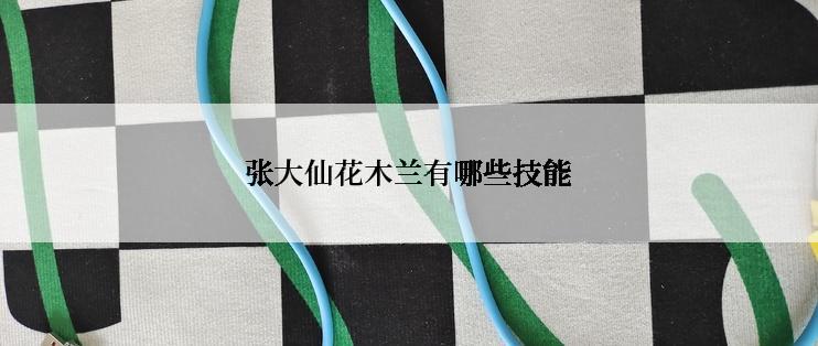 张大仙花木兰有哪些技能