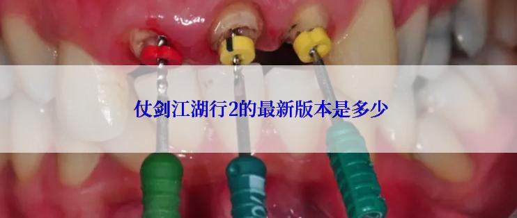  仗剑江湖行2的最新版本是多少