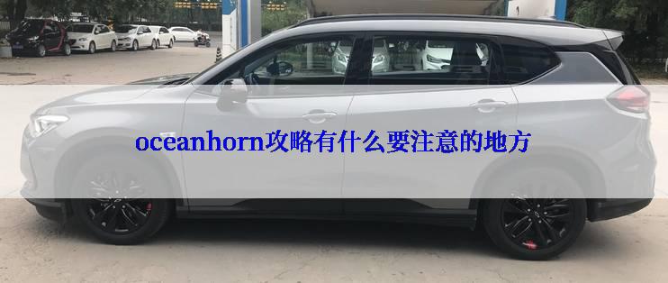 oceanhorn攻略有什么要注意的地方