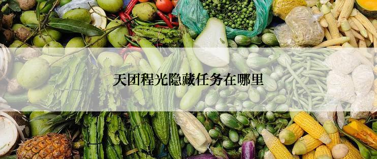 天团程光隐藏任务在哪里