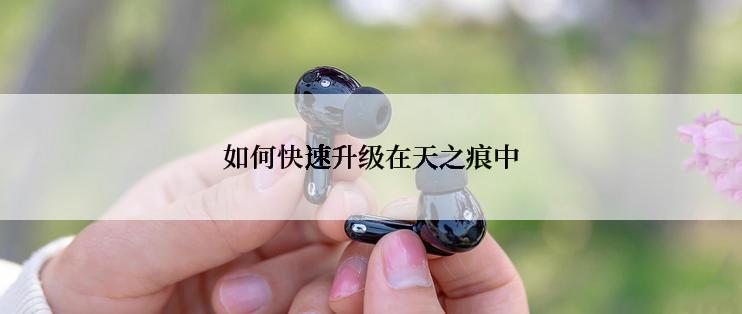 如何快速升级在天之痕中