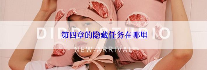  第四章的隐藏任务在哪里