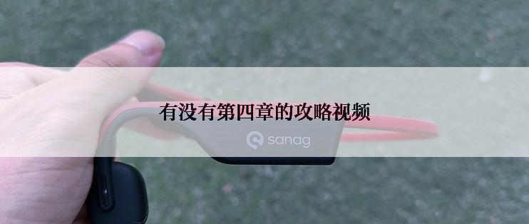 有没有第四章的攻略视频