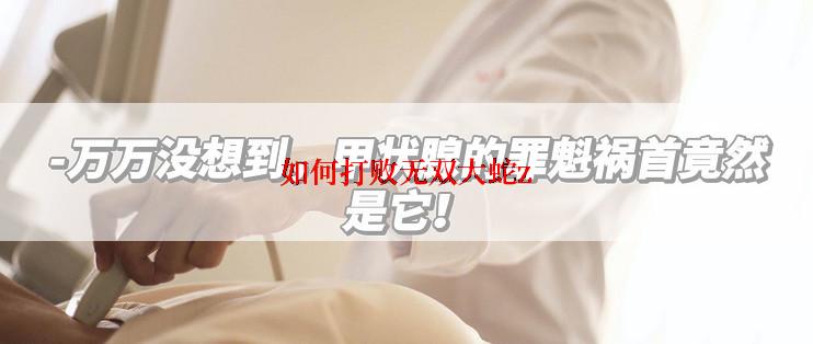 如何打败无双大蛇z
