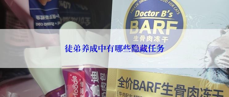 徒弟养成中有哪些隐藏任务