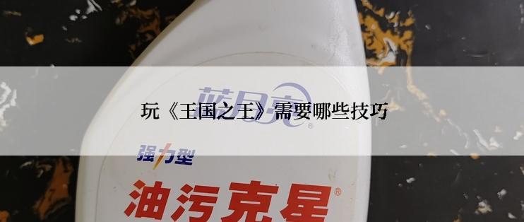  玩《王国之王》需要哪些技巧