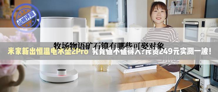 牧场物语矿石镇有哪些可娶对象