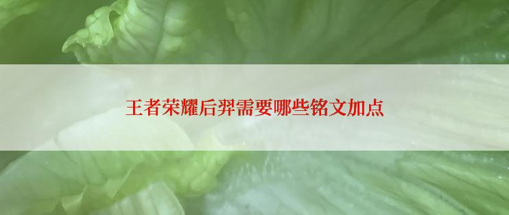 王者荣耀后羿需要哪些铭文加点