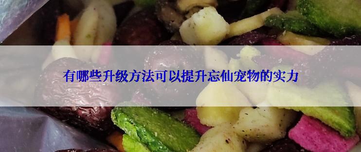 有哪些升级方法可以提升忘仙宠物的实力