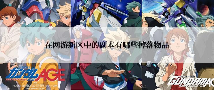 在网游新区中的副本有哪些掉落物品