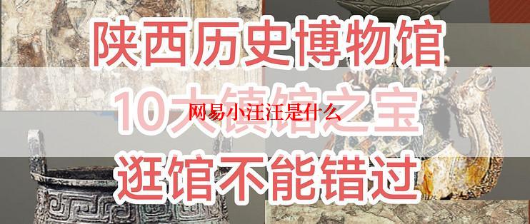 网易小汪汪是什么