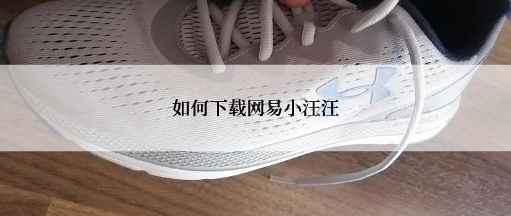 如何下载网易小汪汪
