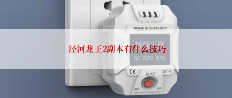  泾河龙王2副本有什么技巧