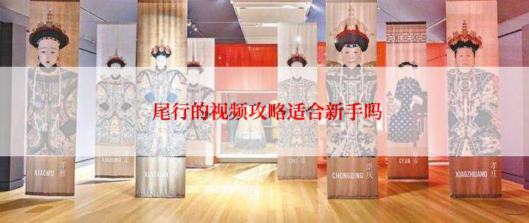  尾行的视频攻略适合新手吗