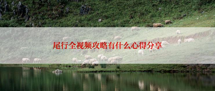 尾行全视频攻略有什么心得分享