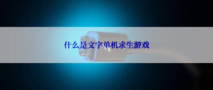 什么是文字单机求生游戏
