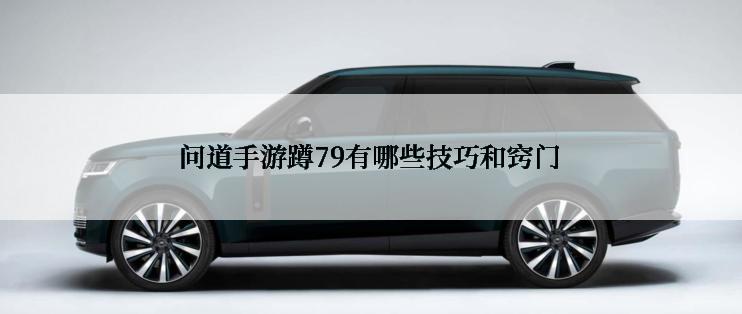 问道手游蹲79有哪些技巧和窍门