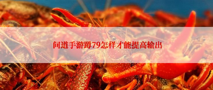  问道手游蹲79怎样才能提高输出
