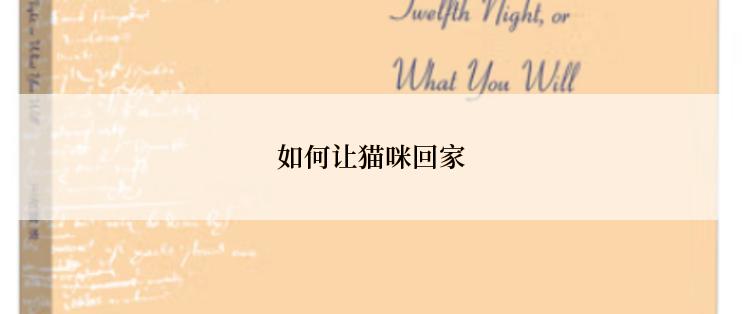 如何让猫咪回家