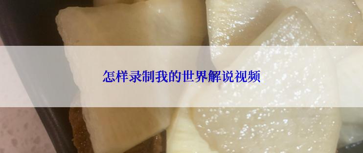 怎样录制我的世界解说视频