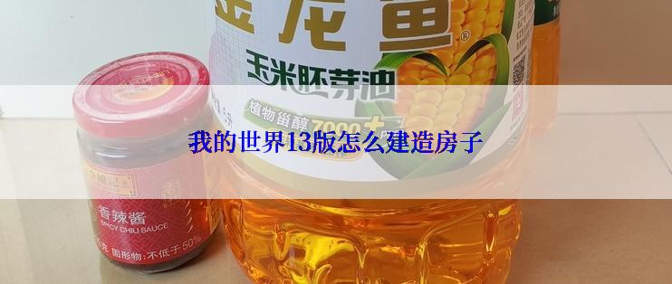 我的世界13版怎么建造房子