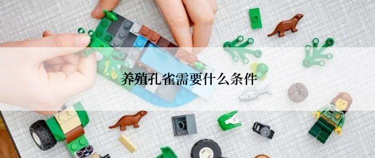  养殖孔雀需要什么条件