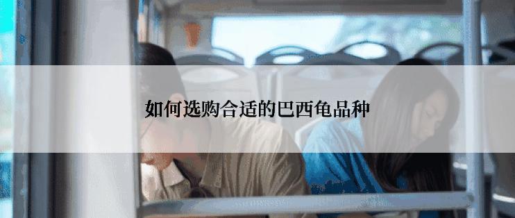 如何选购合适的巴西龟品种