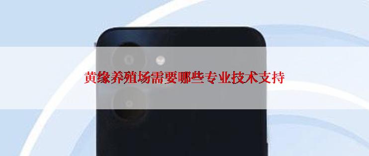 黄缘养殖场需要哪些专业技术支持