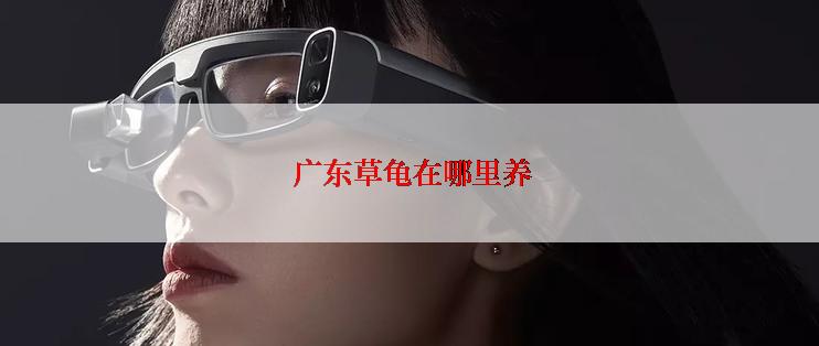  广东草龟在哪里养