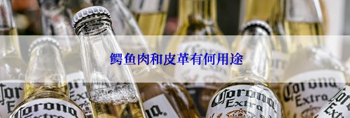  鳄鱼肉和皮革有何用途