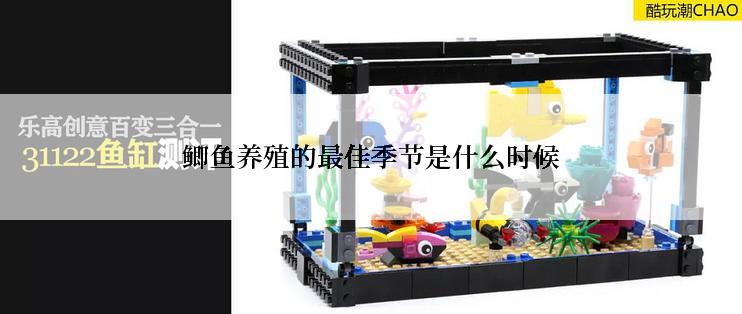 鲫鱼养殖的最佳季节是什么时候