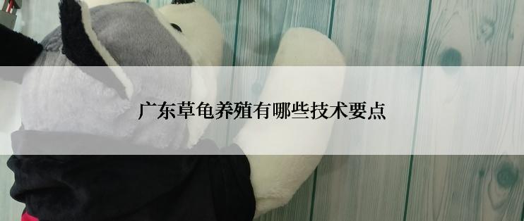 广东草龟养殖有哪些技术要点