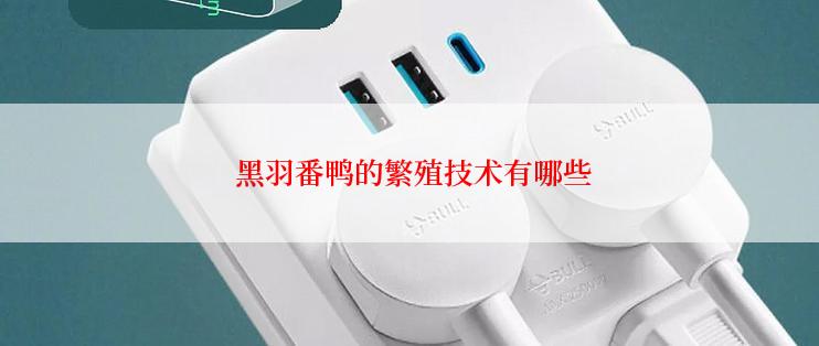  黑羽番鸭的繁殖技术有哪些