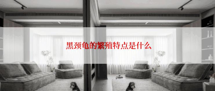  黑颈龟的繁殖特点是什么