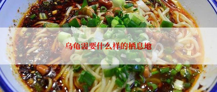 乌龟需要什么样的栖息地