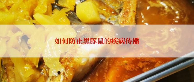 如何防止黑豚鼠的疾病传播