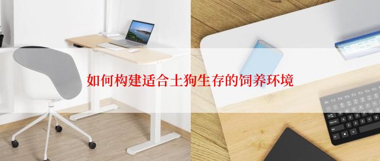 如何构建适合土狗生存的饲养环境