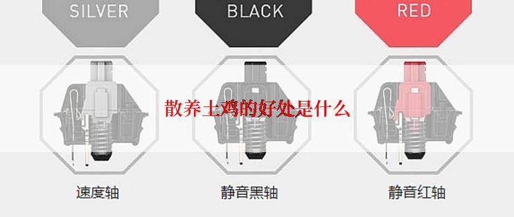 散养土鸡的好处是什么