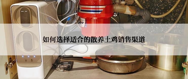 如何选择适合的散养土鸡销售渠道