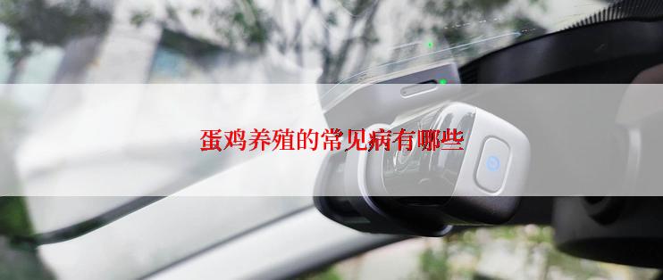蛋鸡养殖的常见病有哪些