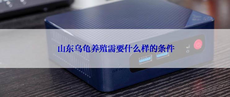  山东乌龟养殖需要什么样的条件