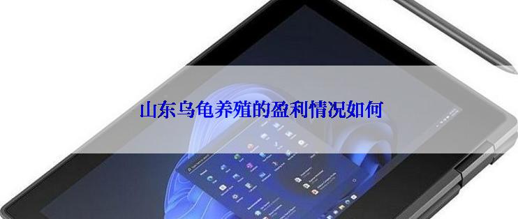  山东乌龟养殖的盈利情况如何