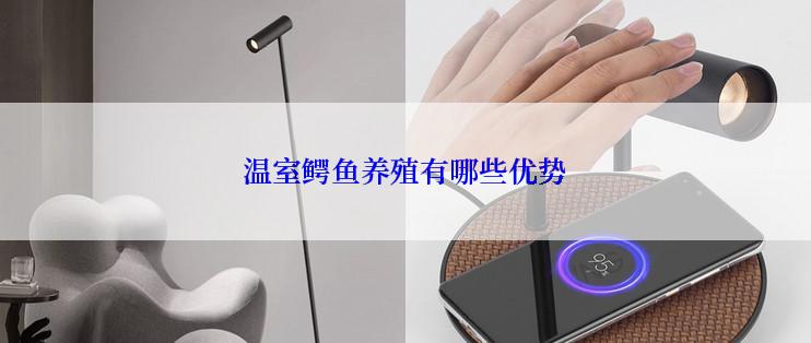 温室鳄鱼养殖有哪些优势