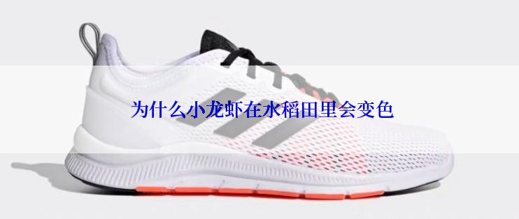  为什么小龙虾在水稻田里会变色