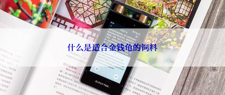 什么是适合金钱龟的饲料